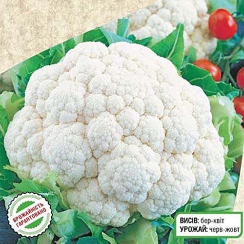 Семена Капуста Florium цвітна Пролісок F1 (8492) - фото 2 Семена Капуста Florium цвітна Пролісок F1 (8492) - фото 2