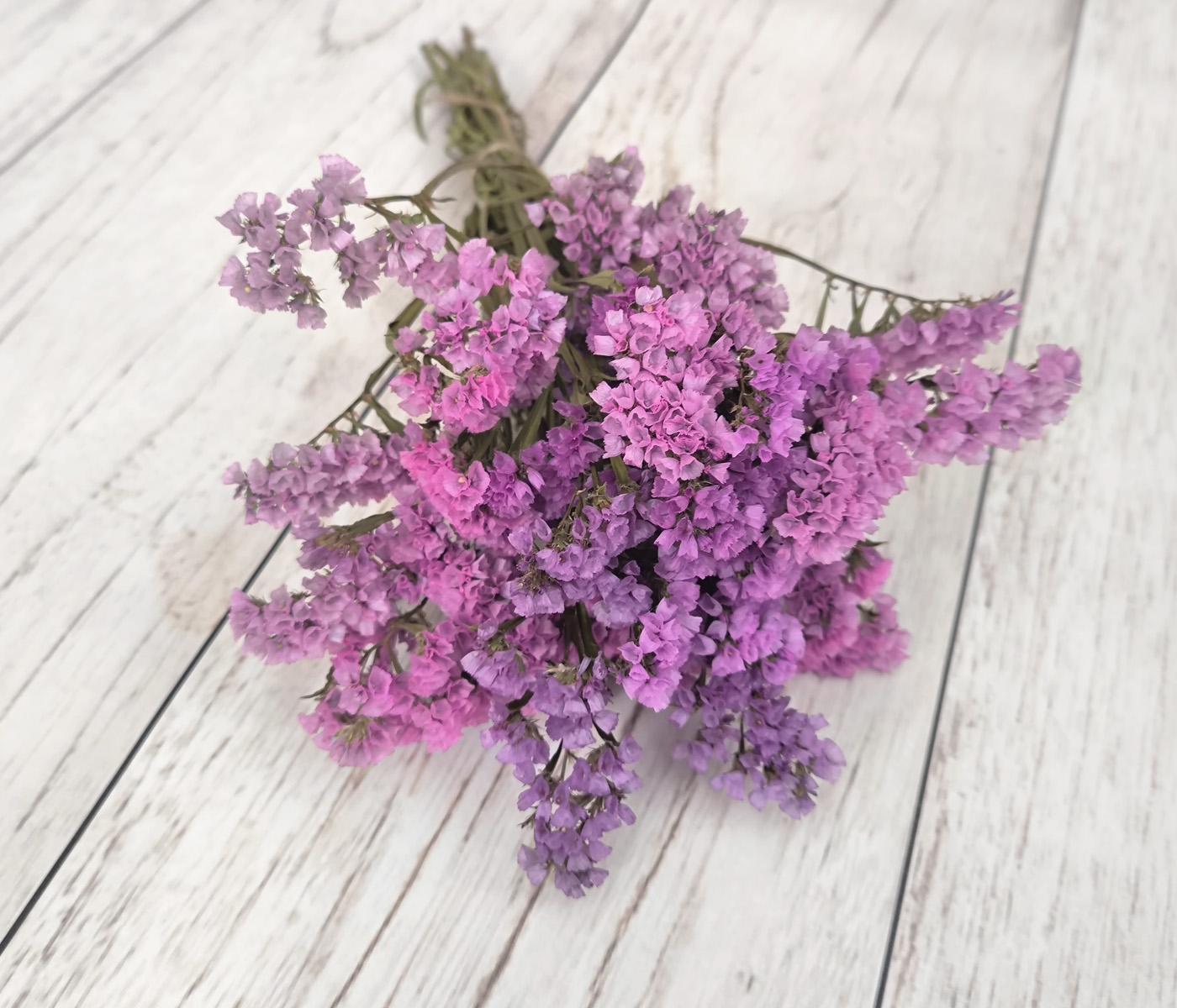 Сухоцвіт кермек рожевий. 7-9 гілочок висота 35-45 см (2683779331)