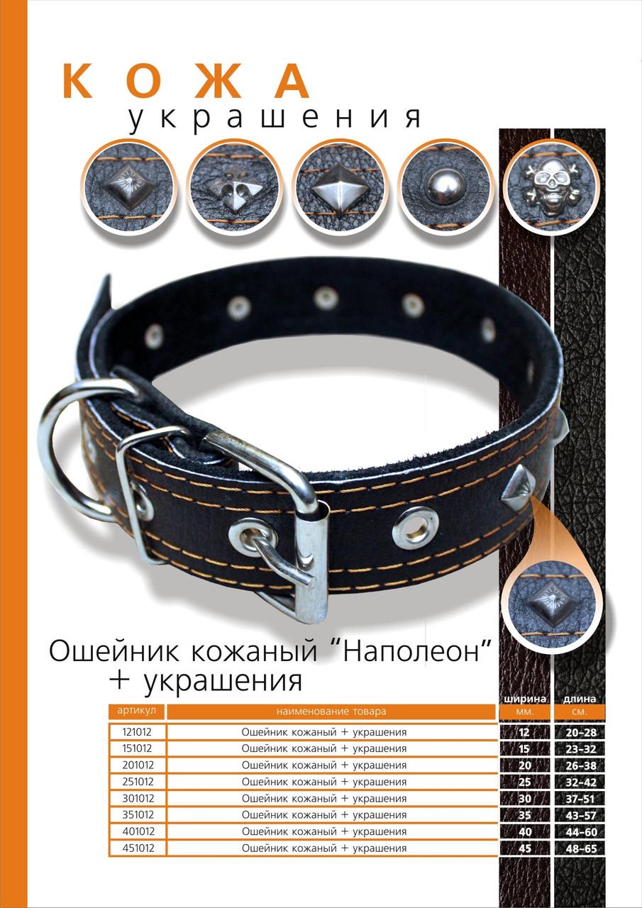 Ошейник кожаный с украшениями 12 мм 20-28 см - фото 2 Ошейник кожаный с украшениями 12 мм 20-28 см - фото 2