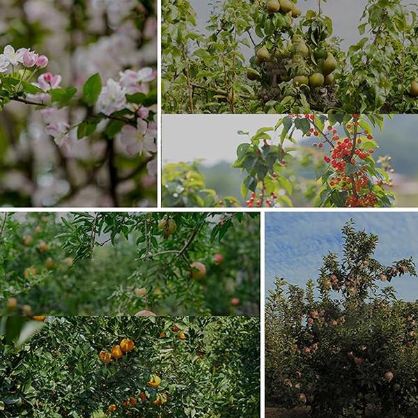 Опоры для веток деревьев металлические M00573-2 18 шт. - фото 9 Опоры для веток деревьев металлические M00573-2 18 шт. - фото 9