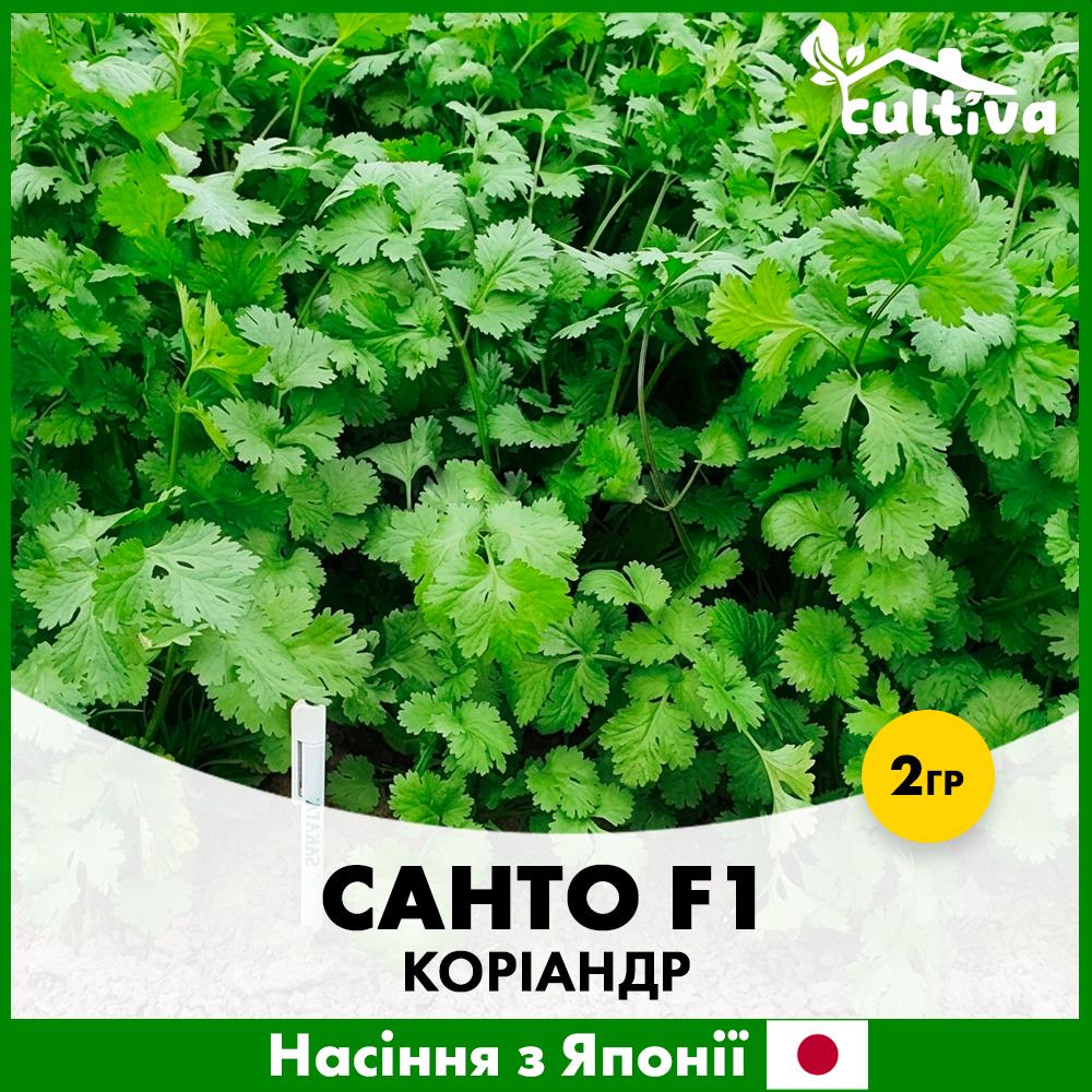 Семена кориандра Санто F1 2 г Sakata (R51259)