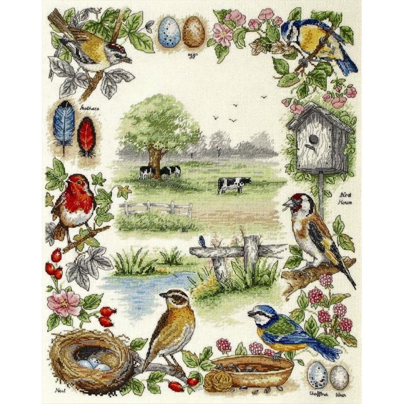 Набор для вышивания крестиком Anchor PSC52 Birds Sampler (22105)