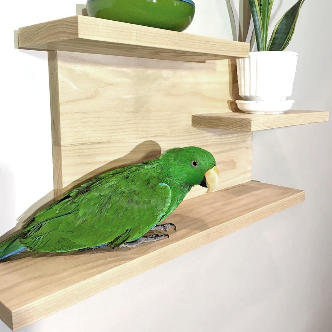 Полка для ванной из дерева Засен Бланже (ВНП/007101)