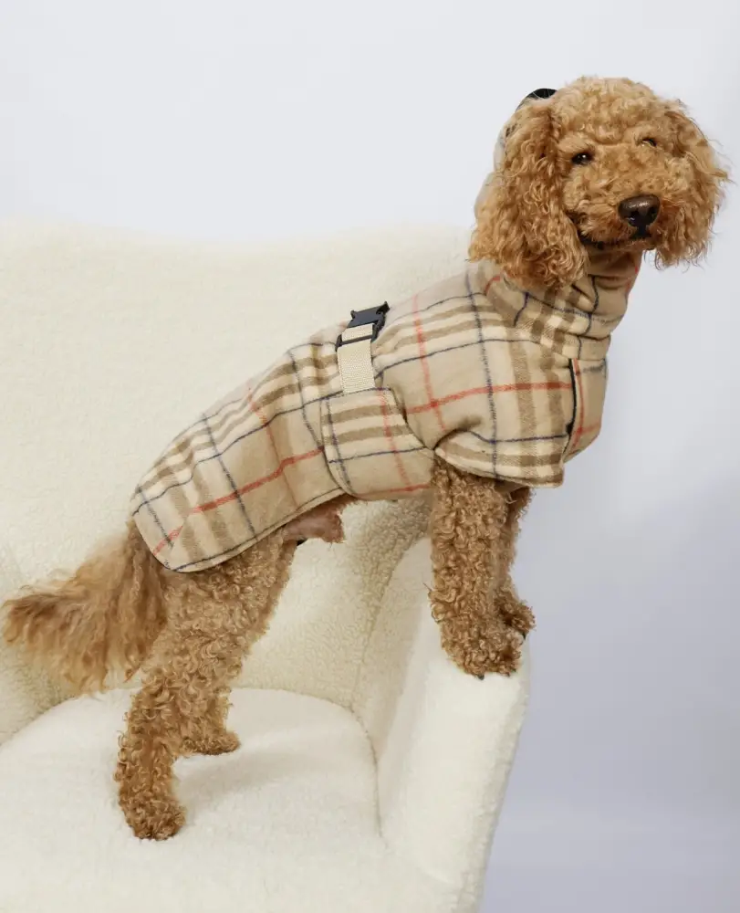 Жилет Dogs Bomba стежка двосторонній Чорний (G-114/6) - фото 2 Жилет Dogs Bomba стежка двосторонній Чорний (G-114/6) - фото 2