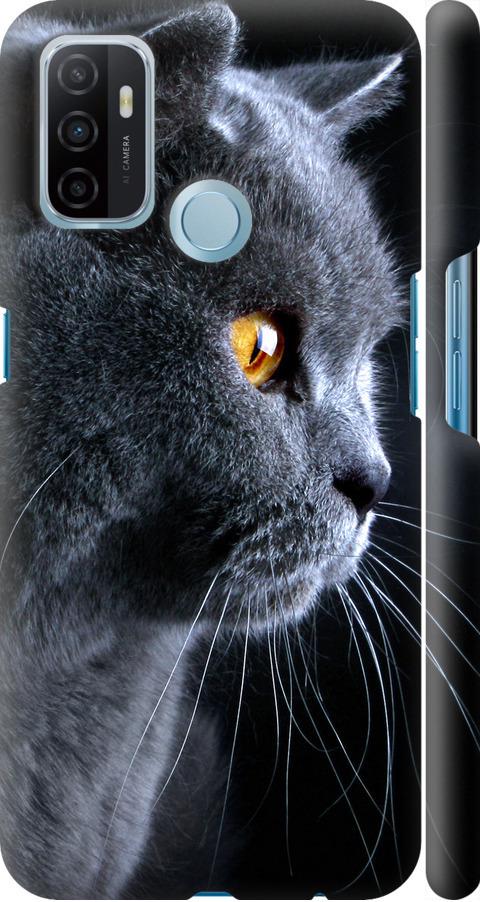 Чехол на Oppo A53 Красивый кот (3038m-568-42517)