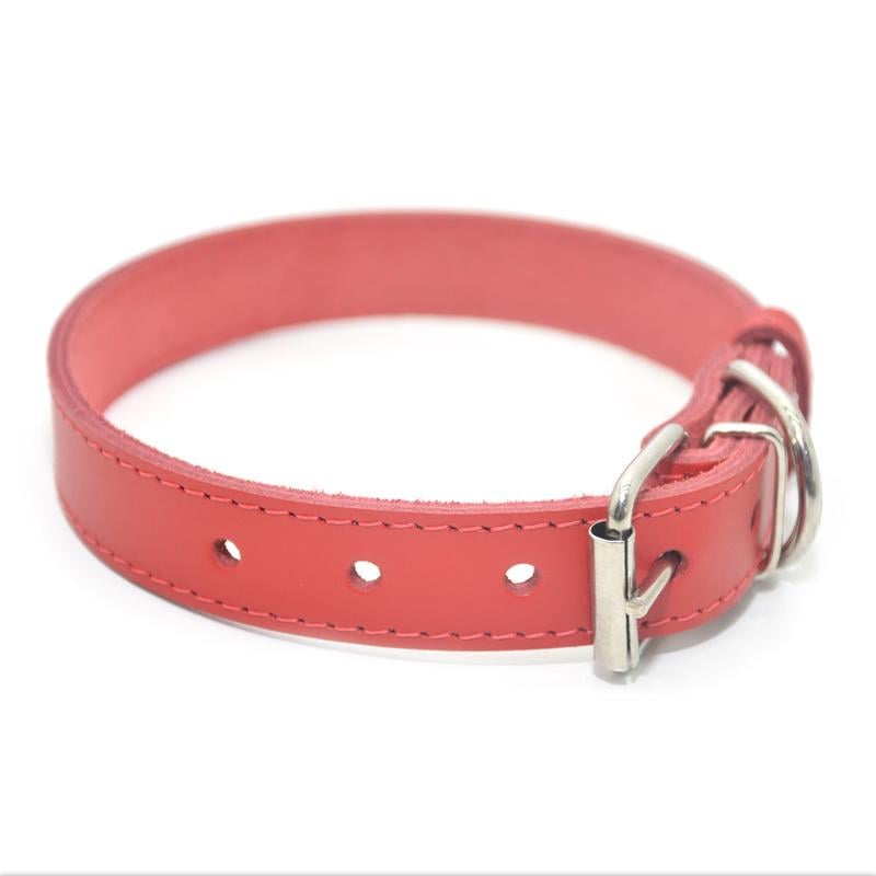 Ошейник для собак Zoo-hunt Весна кожаный 3,5/46-56 см Красный - фото 1 Ошейник для собак Zoo-hunt Весна кожаный 3,5/46-56 см Красный - фото 1