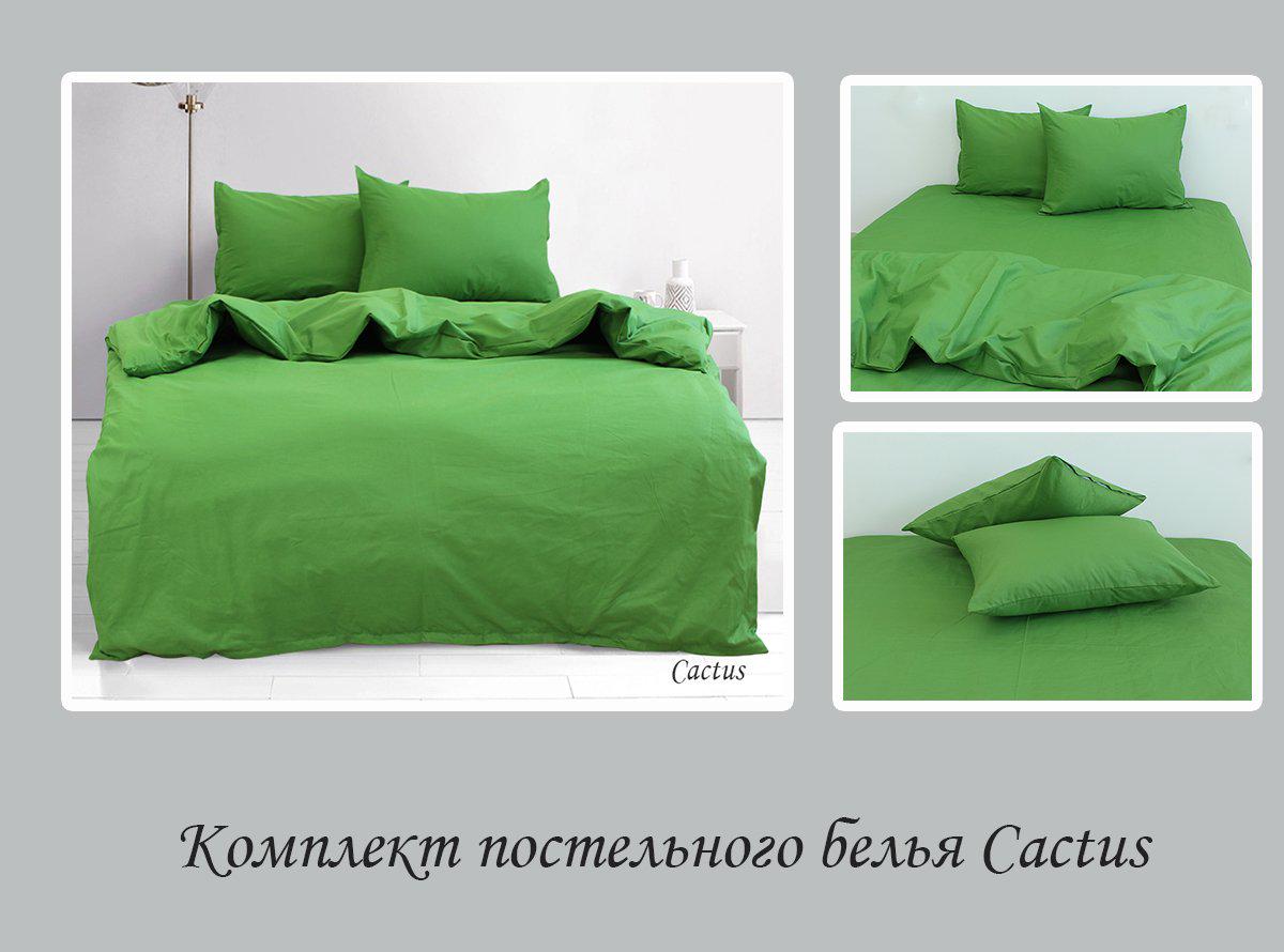 Комплект постельного белья Cactus евро (29-77-TAG evro-803-2) - фото 4