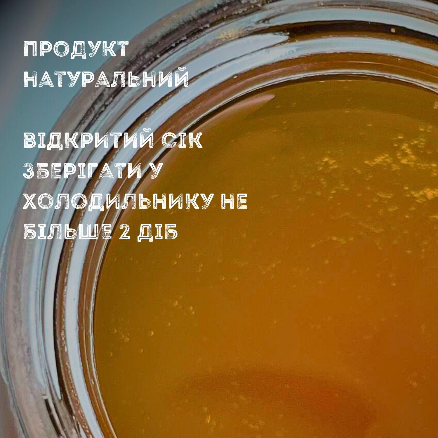 Узвар натуральный из сушеных фруктов Avalanche 1 л 8 шт. (J-A-stewed fruit-1L-pack8) - фото 2 Узвар натуральный из сушеных фруктов Avalanche 1 л 8 шт. (J-A-stewed fruit-1L-pack8) - фото 2