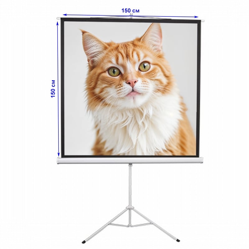 Екран для проєкторів EQUIPIFY SRM-1101 мобільний тринога 84" 150x150 см 1:1 (tf2927) - фото 11 Екран для проєкторів EQUIPIFY SRM-1101 мобільний тринога 84" 150x150 см 1:1 (tf2927) - фото 11