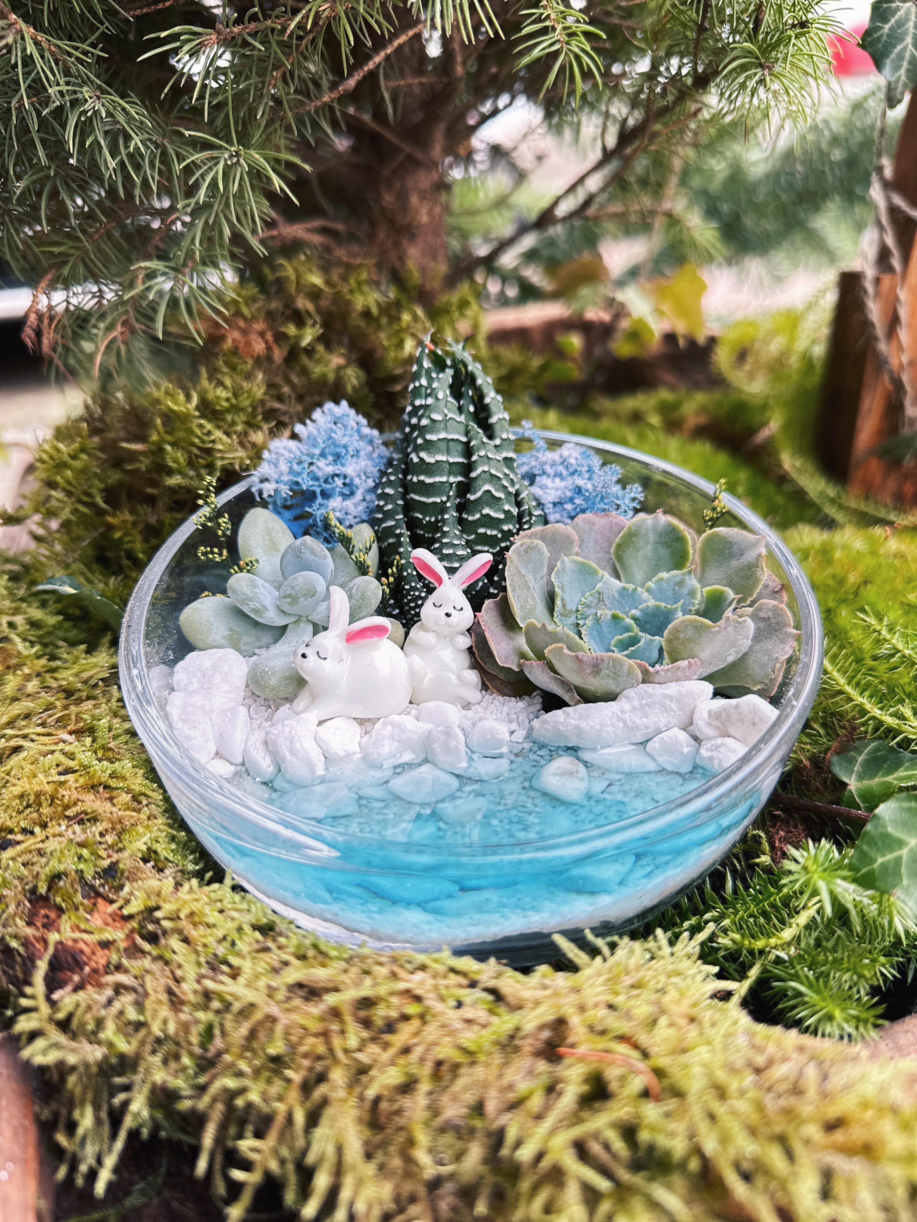 Флорариум Кролики с суккулентом и водоемом 12х9 см