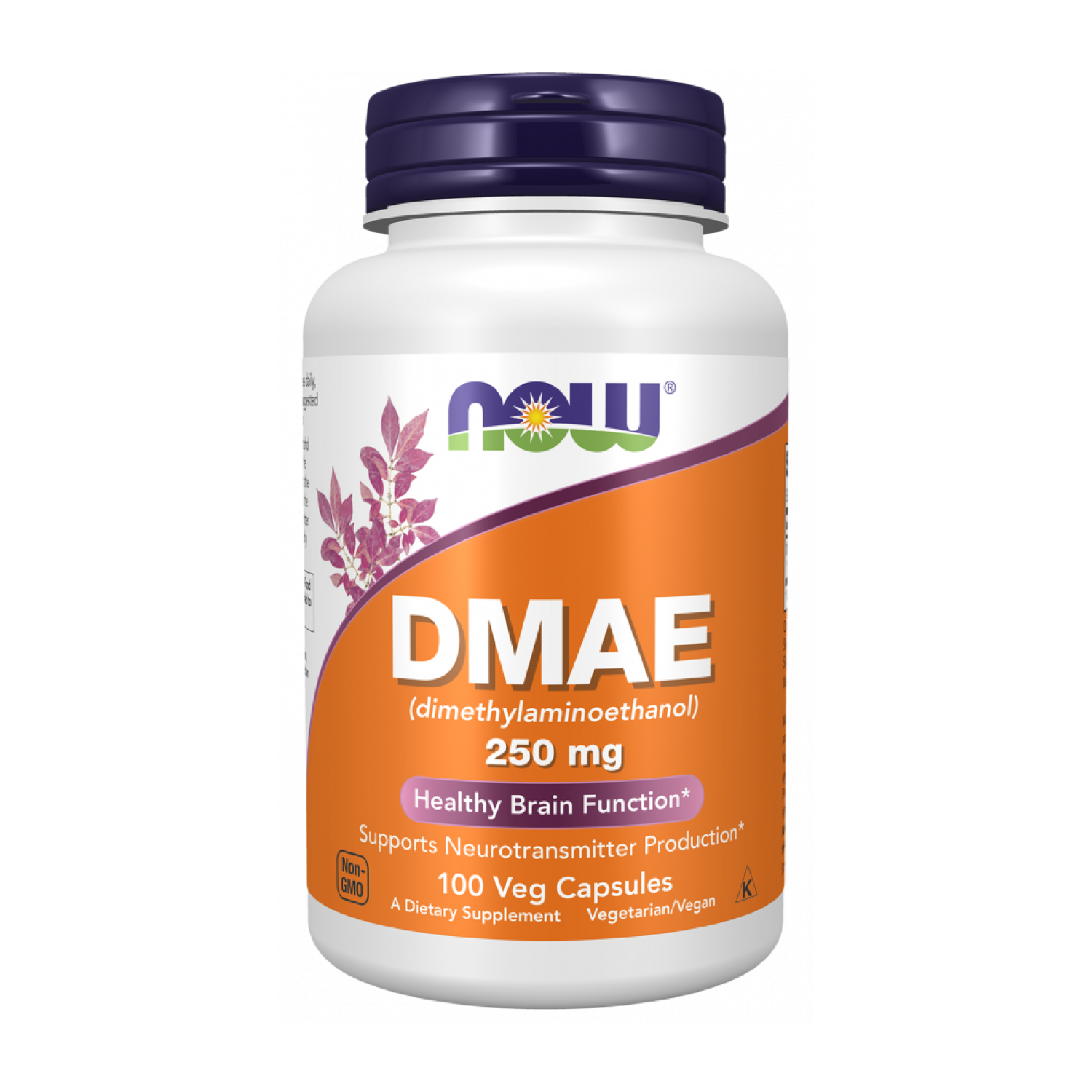 Диетическая добавка Now Foods Диметиламиноэтанол 250 мг 100 капс. (CO003454) Диетическая добавка Now Foods Диметиламиноэтанол 250 мг 100 капс. (CO003454)