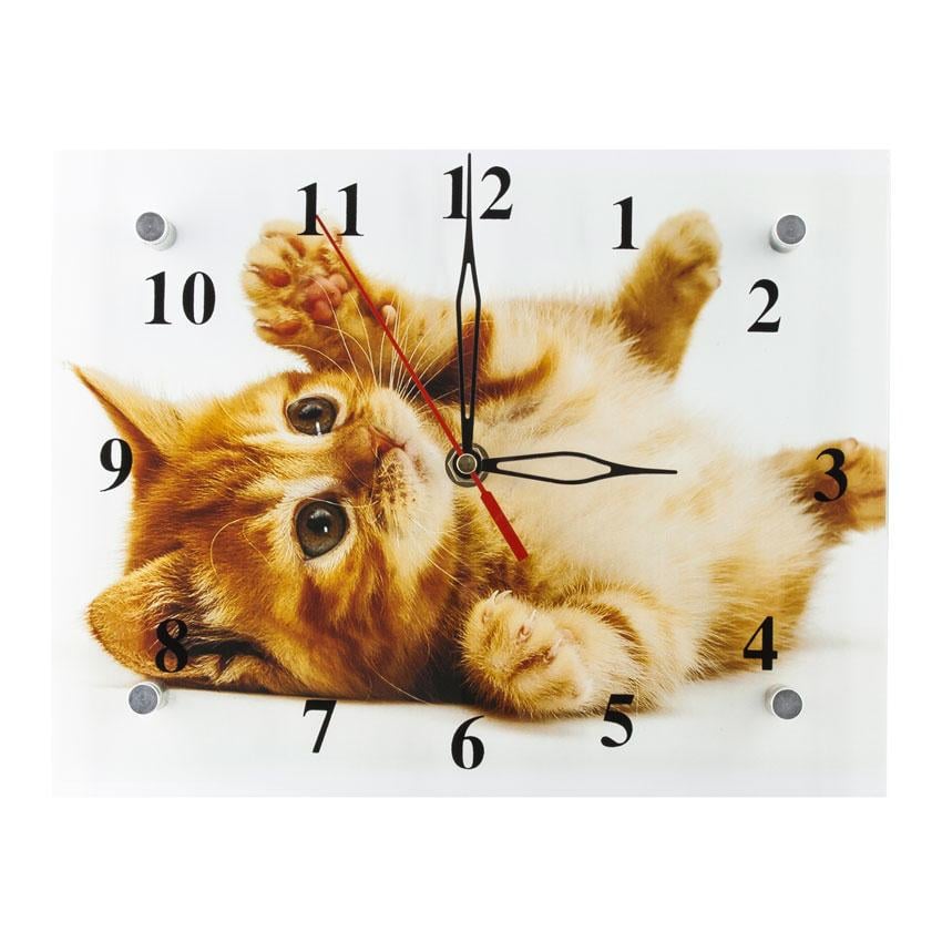 Часы настенные Моя Кися 21х26х5 см (21969) Часы настенные Моя Кися 21х26х5 см (21969)