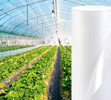 Плівка теплична 100 мкм Блакитний - фото 2 Плівка теплична 100 мкм Блакитний - фото 2