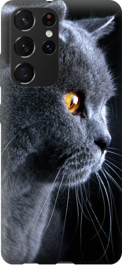 Чехол на Samsung Galaxy S21 Ultra Красивый кот (3038t-2116-42517)