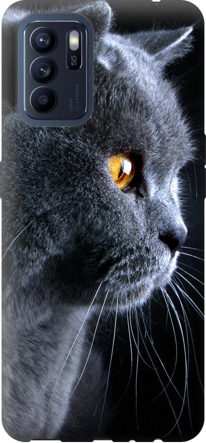 Чохол на Oppo Reno6 Z Гарний кіт (3038u-2477-42517)