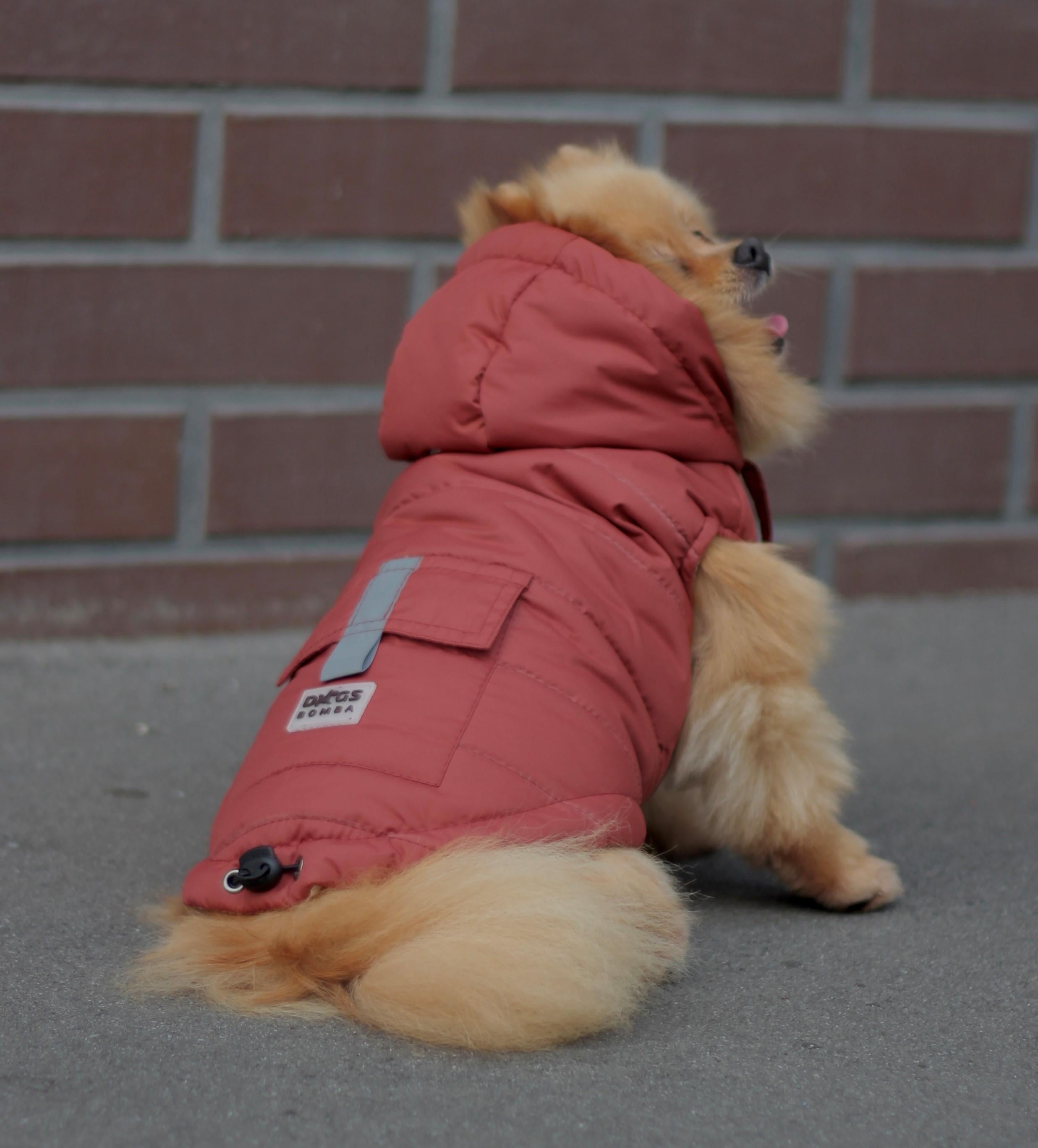 Жилет для собак кишеня G-80 р. 3 Цегляний (70580011)