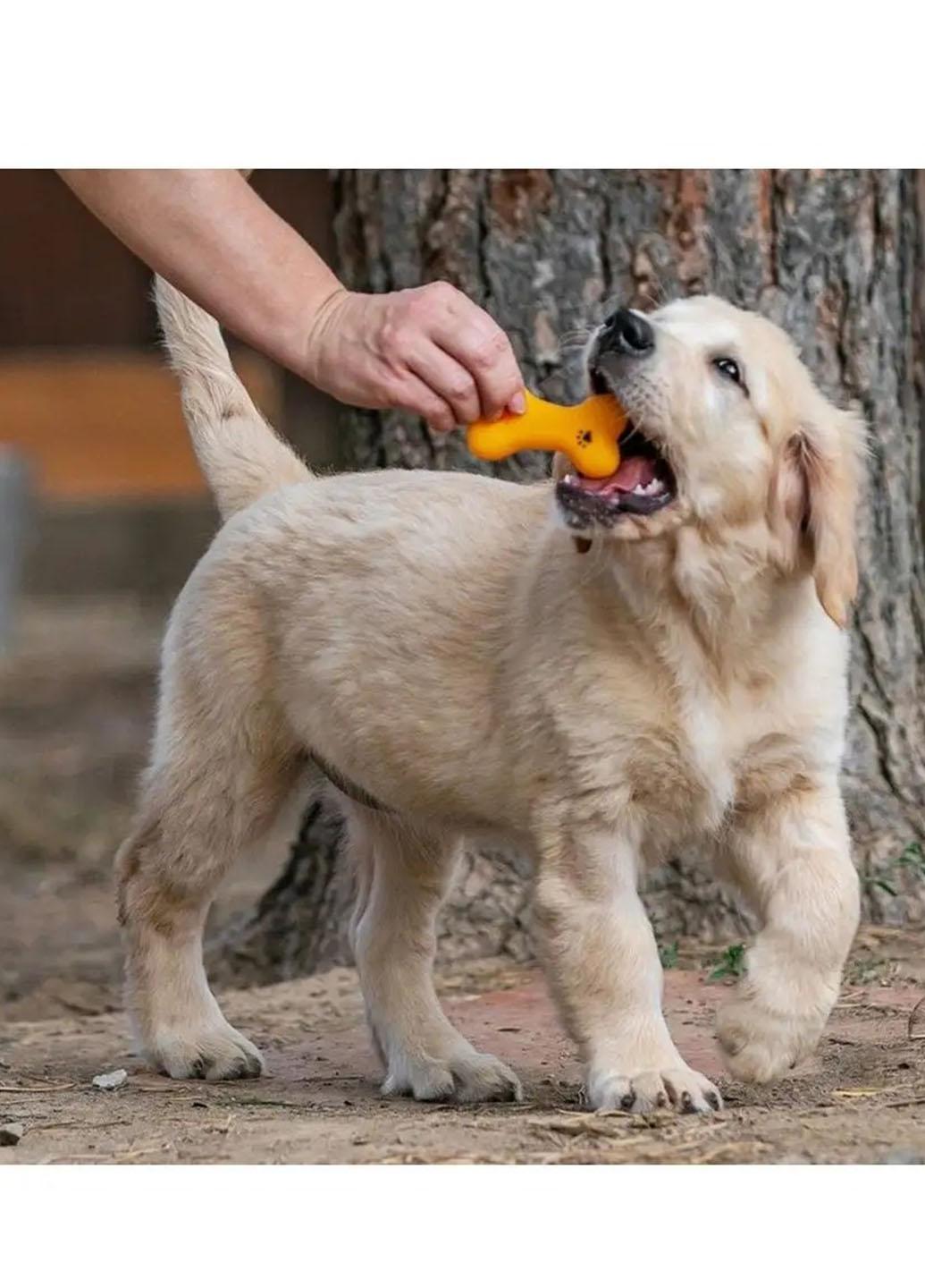 Игрушка в форме косточки Idea для животных со встроенной пищалкой при сжатии 9х5х1 см Желтый (66985SP) - фото 7 Игрушка в форме косточки Idea для животных со встроенной пищалкой при сжатии 9х5х1 см Желтый (66985SP) - фото 7