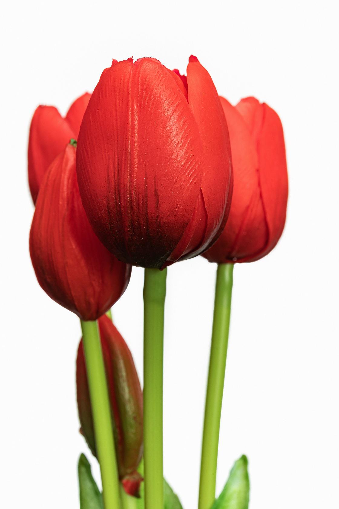 Тюльпан букет Indigo Lux 3 голови 2 бутони 40 см Червоний (778-3) - фото 4 Тюльпан букет Indigo Lux 3 голови 2 бутони 40 см Червоний (778-3) - фото 4