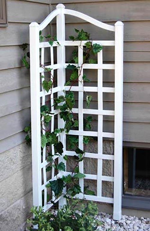 Опора для плетущихся из дерева Белабан Зефир (ОДВ-002120)