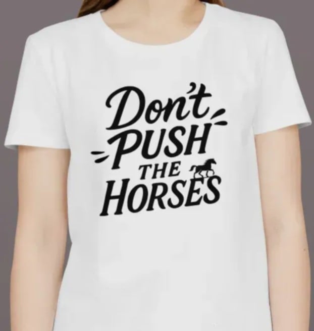 Футболка с рисунком конька и надписью Don't push the horses S Белый (11677S)