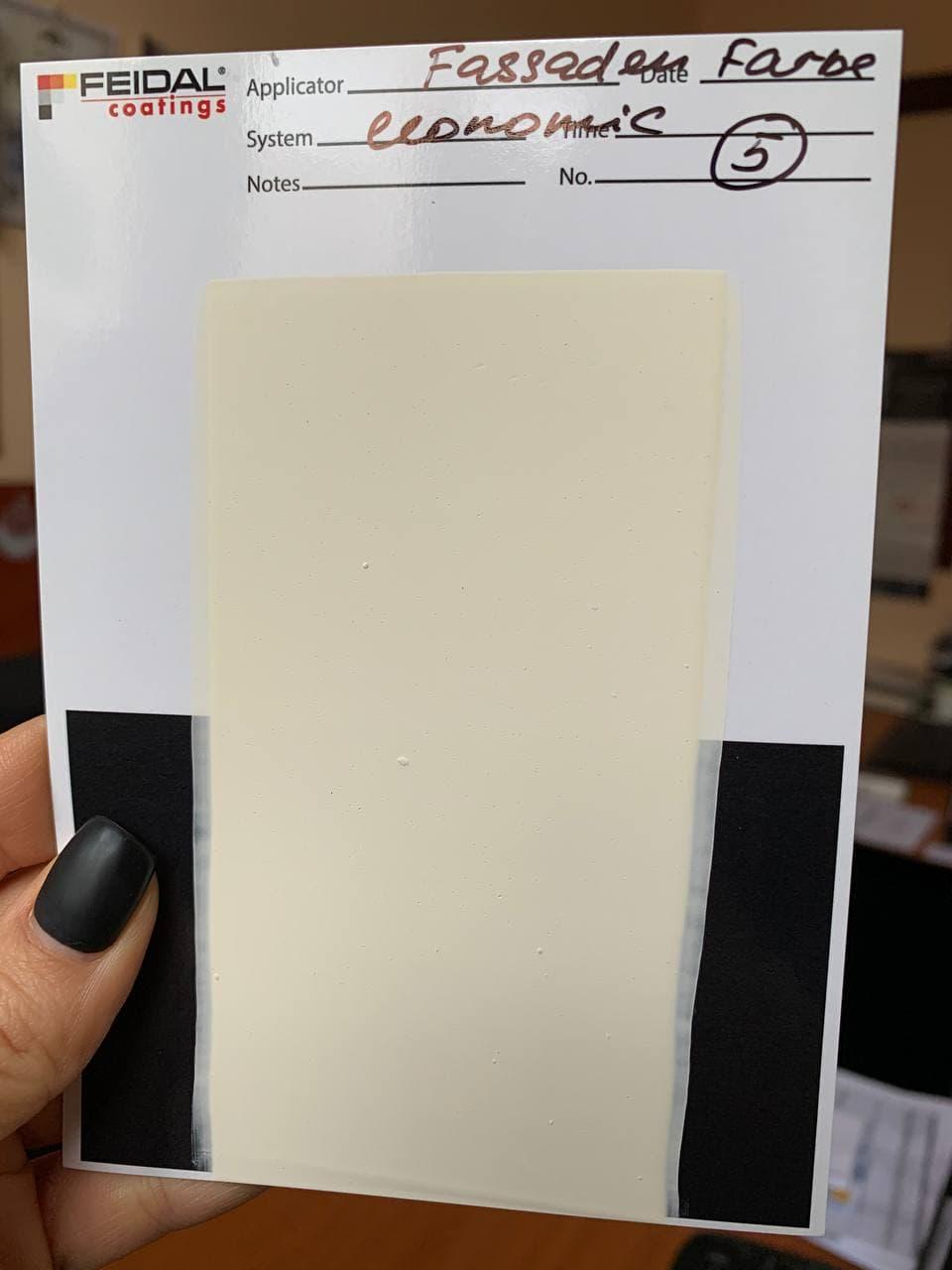 Фарба фасадна Feidal Fassaden Farbe economic 10 л тонована в колір 5 (1886455449) - фото 2