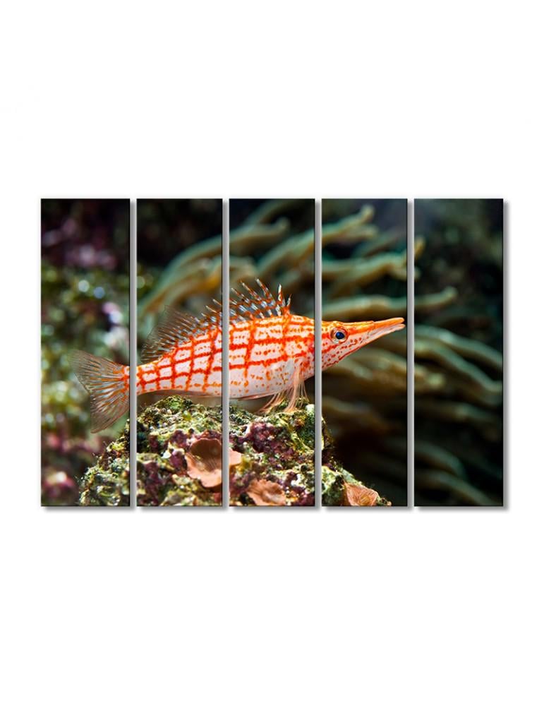 Картина модульная Рыба кораллового рифа 5 модулей 90x135 см (122202Zhivotnye)