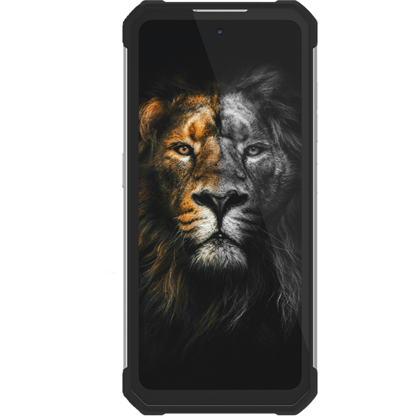 Смартфон Oukitel WP17 8/128GB Black (71989)