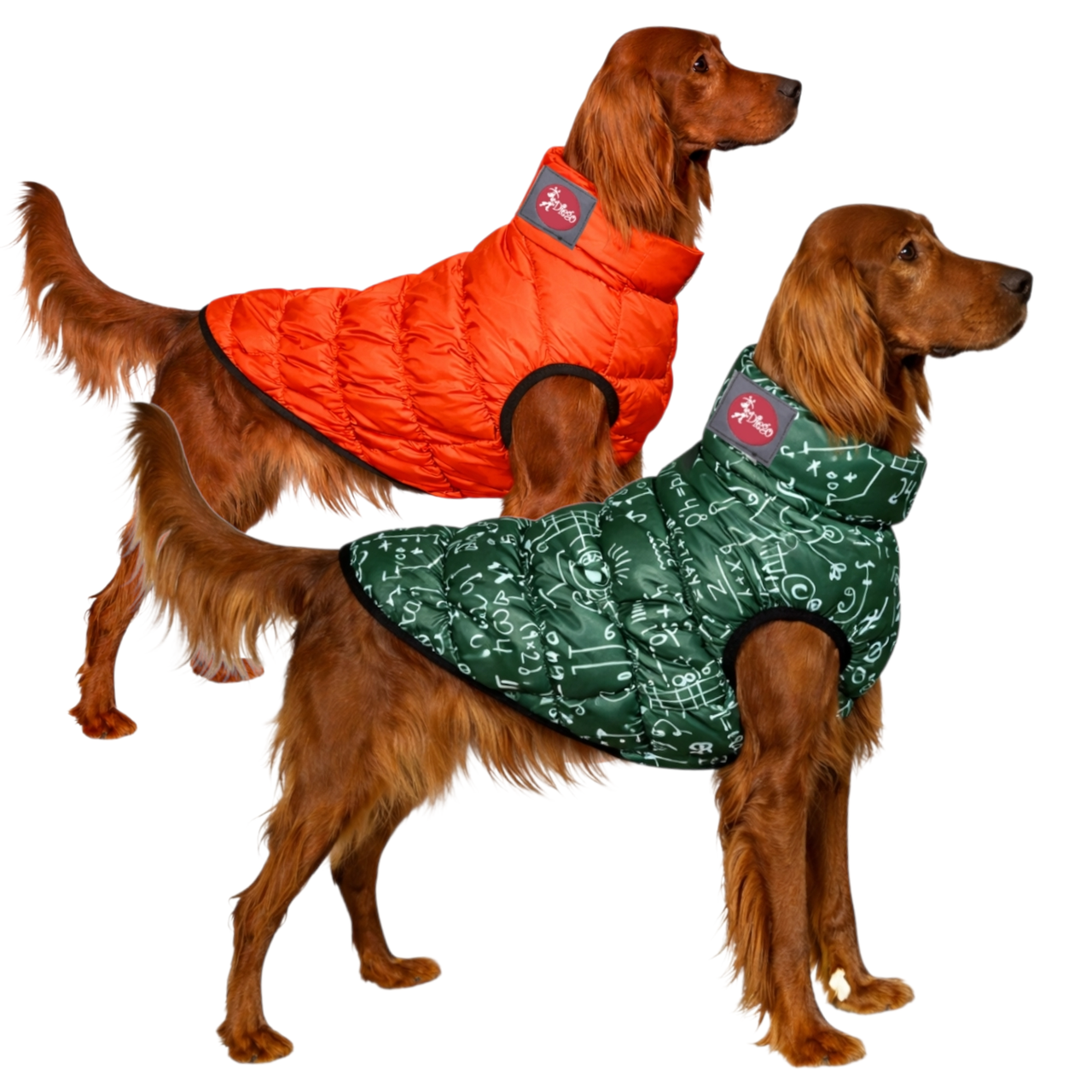 Жилет для собак двосторонній Diego Print Double Піфагор р. 7 Зелений (124182009)