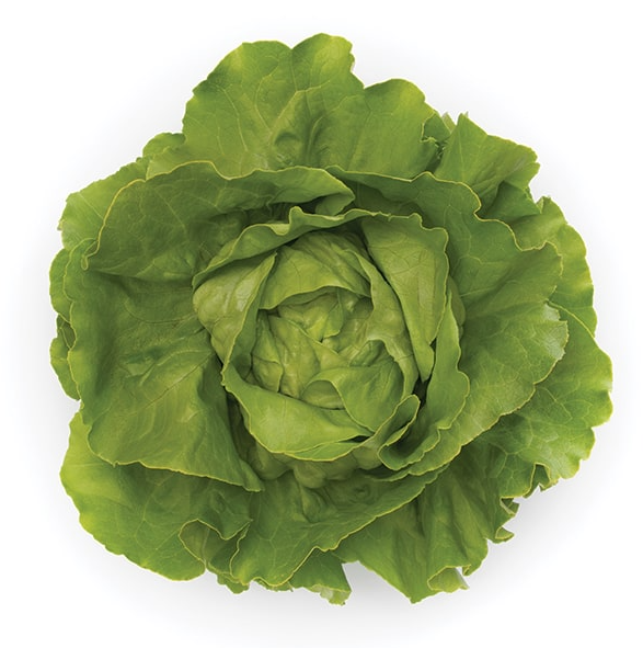 Насіння Салат Томбело ТД Гекса-Україна 01-26-229 1000 шт. (IR02073)