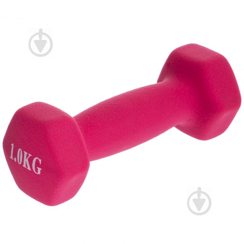 Гантели для фитнеса SP-Planeta Радуга TA-0001-1 1 Розовый