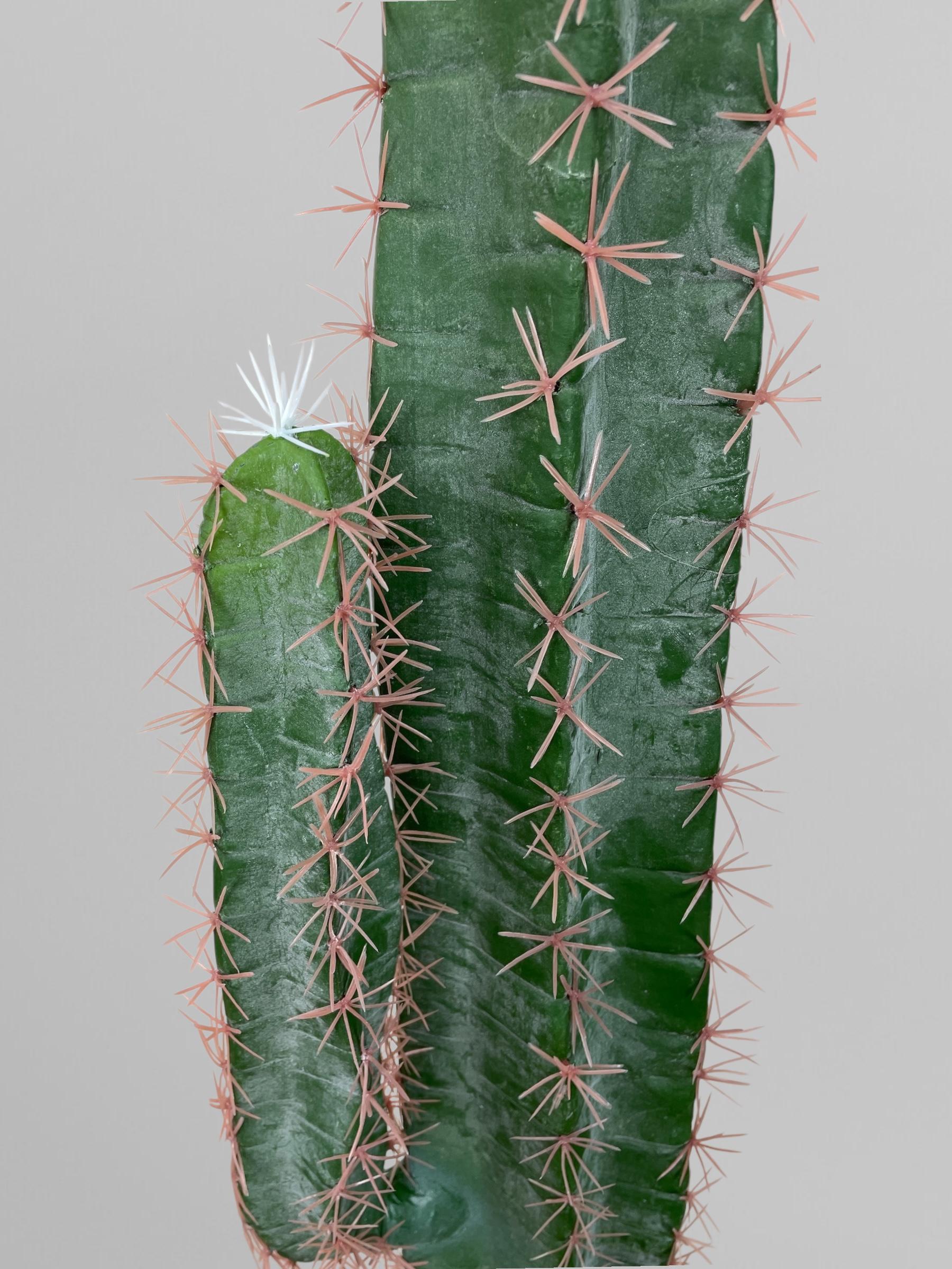 Искусственный кактус 150 см Зеленый (Р06002) - фото 8 Искусственный кактус 150 см Зеленый (Р06002) - фото 8