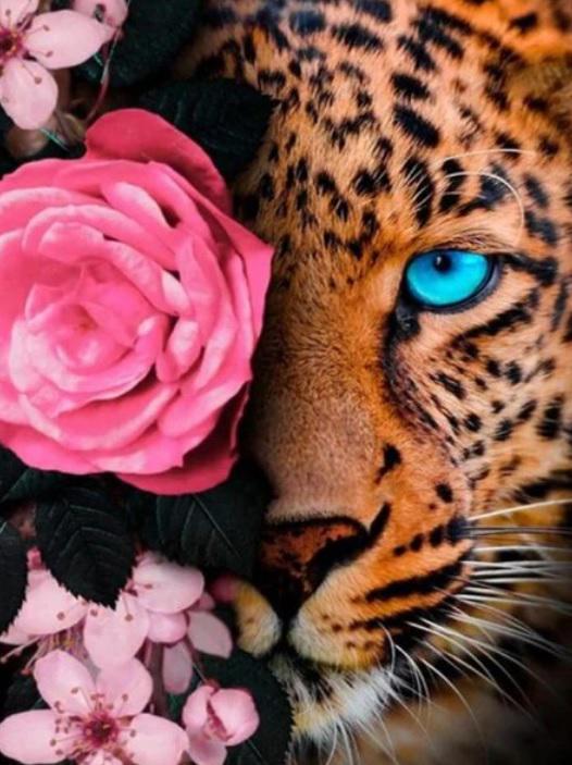 Набір для творчості алмазна картина Strateg Погляд через квіткову вуаль HEG88138 30x40 см (MTT-191773) Набір для творчості алмазна картина Strateg Погляд через квіткову вуаль HEG88138 30x40 см (MTT-191773)