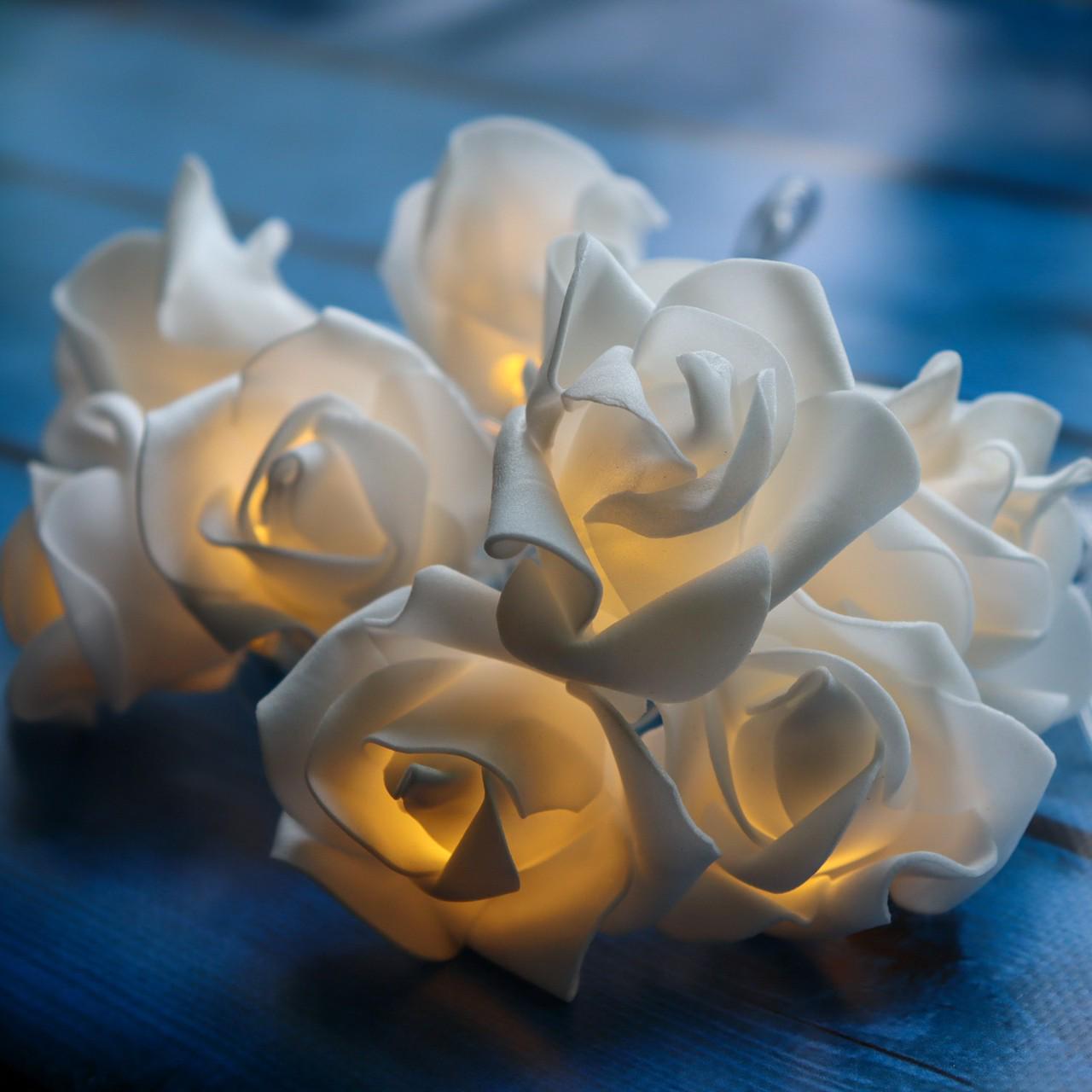 Гирлянда фигурки Цветы 12 LED 5 м Белый (00000006701)