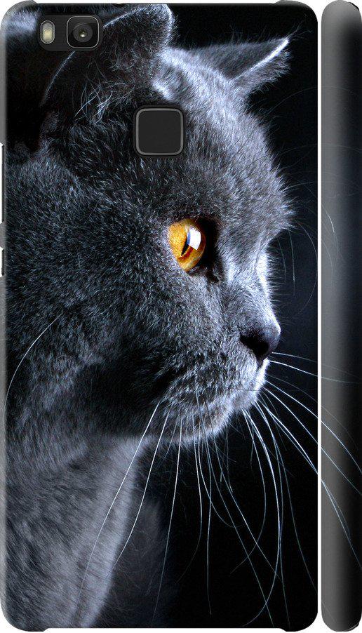 Чехол на Huawei P9 Lite Красивый кот (3038c-298-42517)