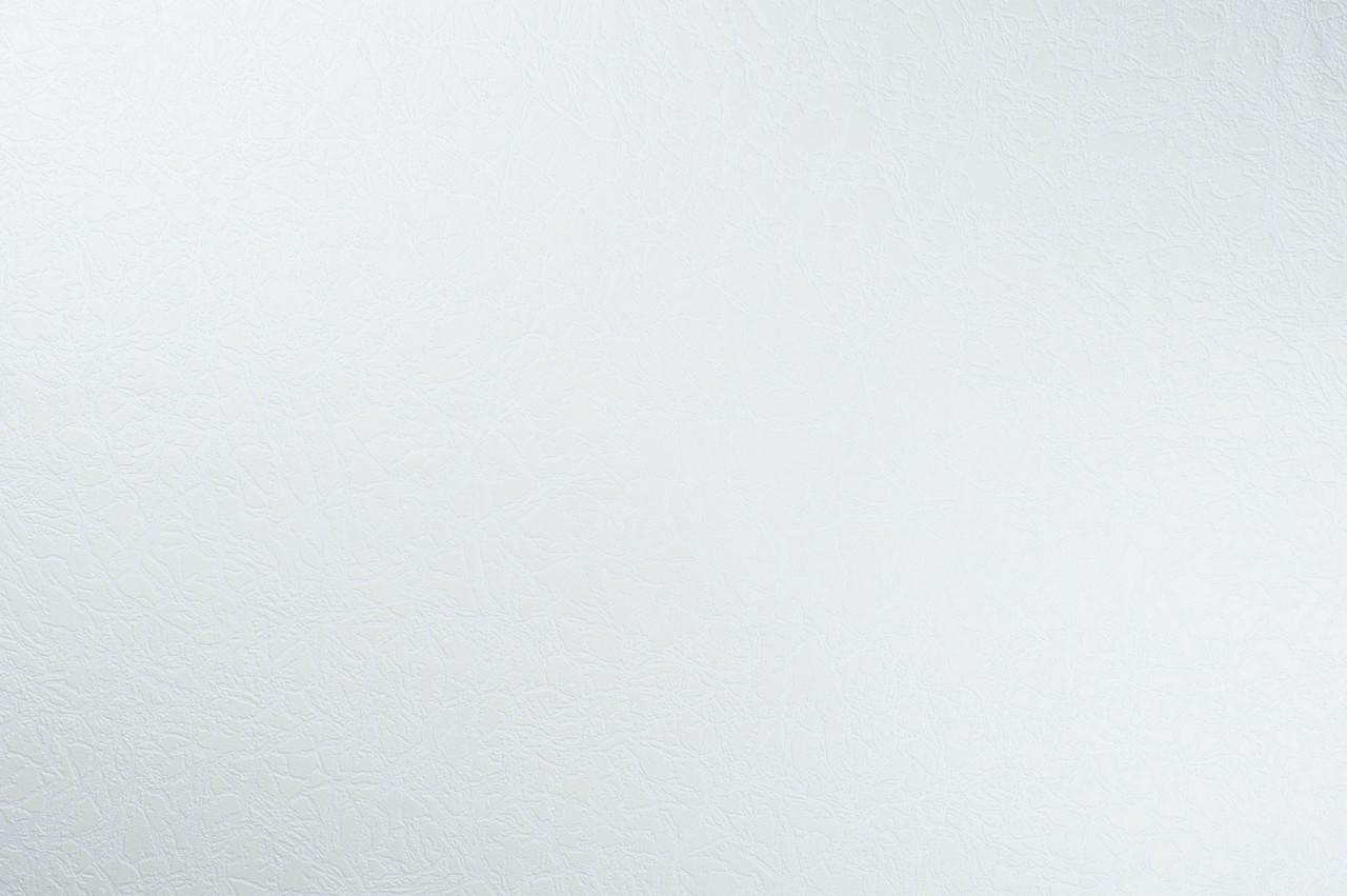 Шпалери універсальні LS 25x1,06 м Білий (S-73) - фото 2 Шпалери універсальні LS 25x1,06 м Білий (S-73) - фото 2