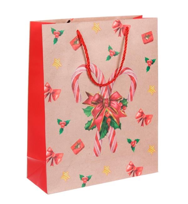 Новогодний пакет Леденец 18x24x8,5 см крафт (10569)