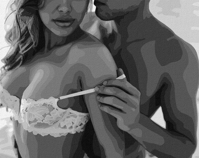 Картина по номерам Ideyka Страстное прикосновение 40x50 см (Id-KHO8517)