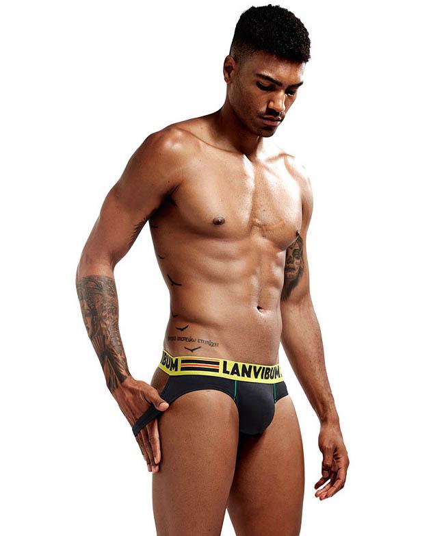 Трусы Lanvibum M Черный (5512)