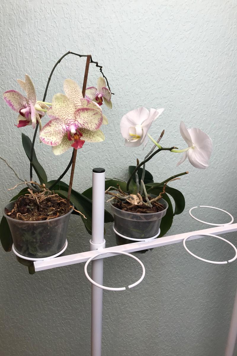 Підставка для квітів BeStand Квін 120 на 21 вазон з трьома рухомими планками 123 см Білий - фото 3 Підставка для квітів BeStand Квін 120 на 21 вазон з трьома рухомими планками 123 см Білий - фото 3