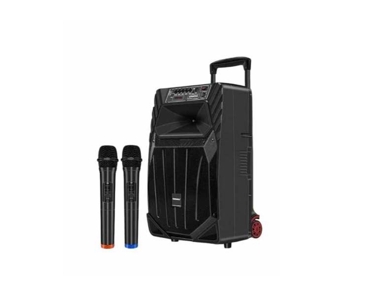 Колонка A15-36 с двумя микрофонами 120W (45711-_6922)