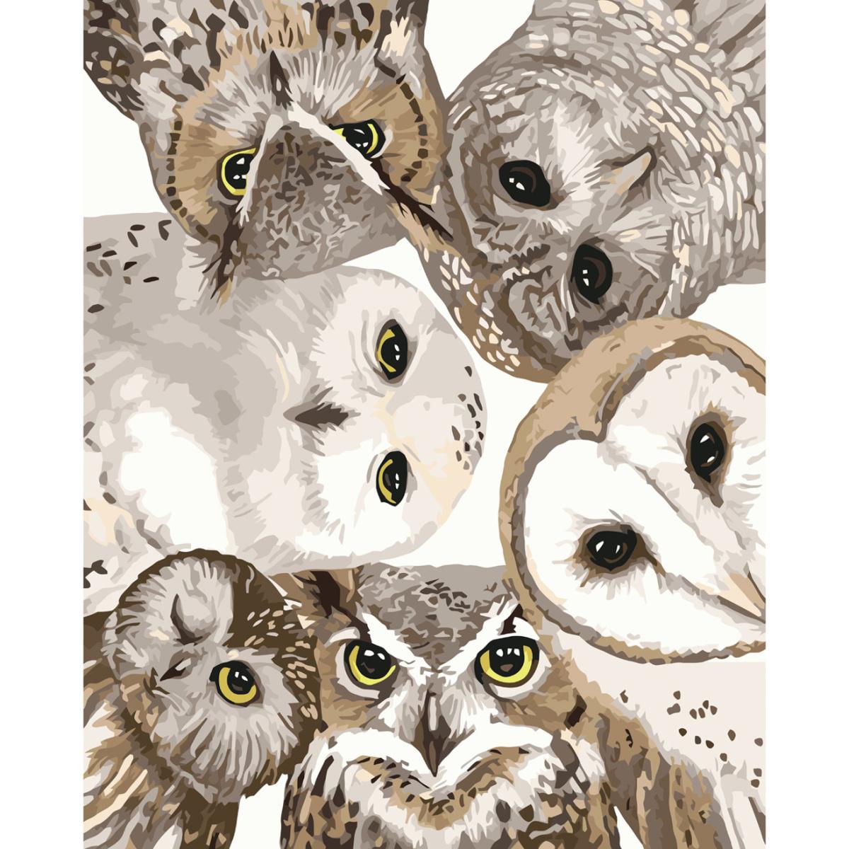 Картина по номерам Strateg Глаза совенят 40x50 см (VA-3666)