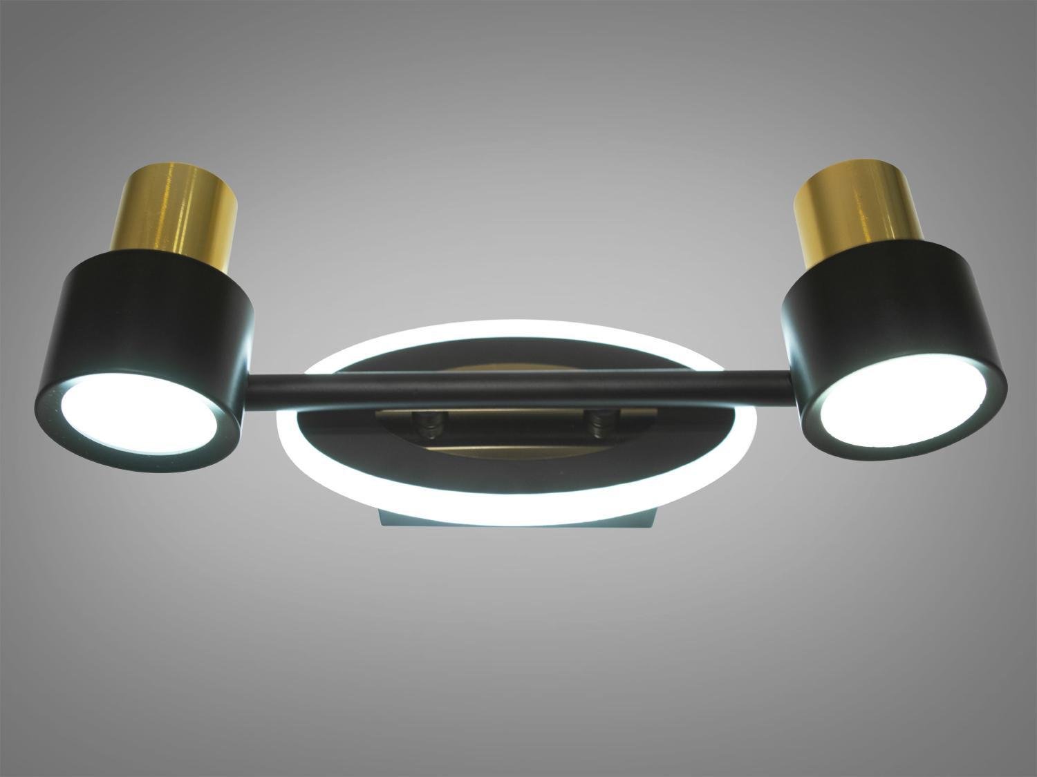 Светильник направленного света 12W (5973/2)