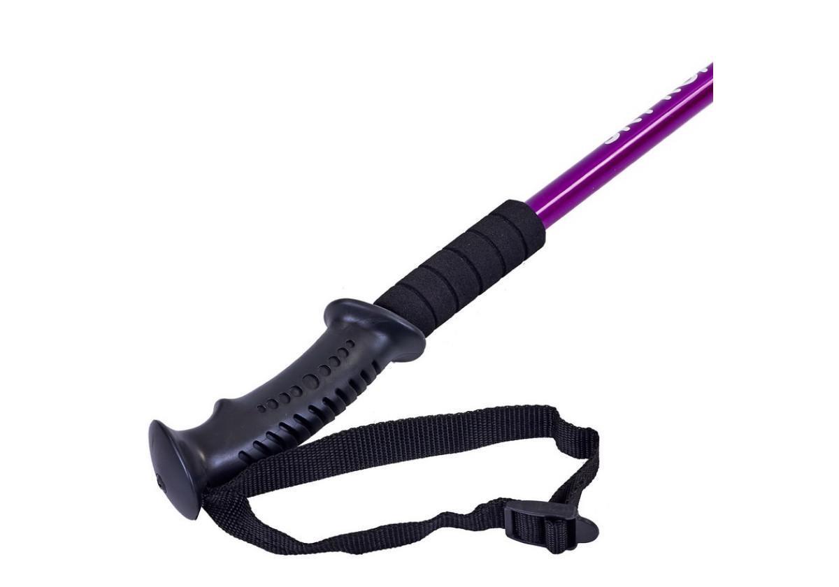 Палиця для скандинавської ходьби EasyFit SKY ROAD Фіолетовий (EF-2471-V) - фото 2