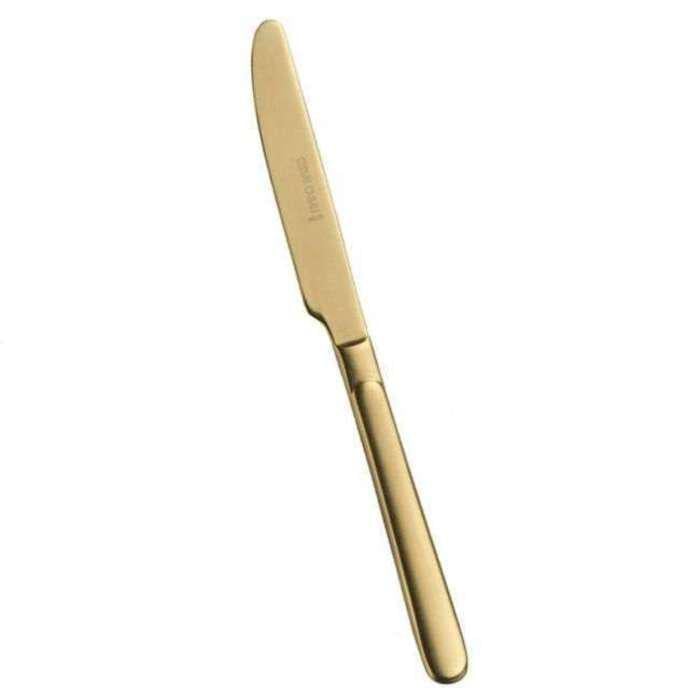 Нож столовой Pinti Inox Casali SW gold (0YA20003)