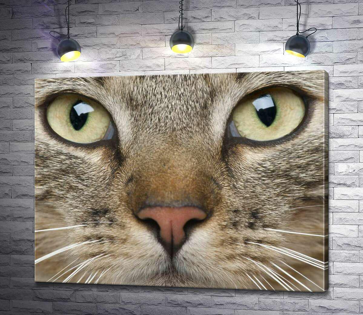 Картина ArtPoster Сосредоточенный взгляд зеленых глаз кота 100x78 см Модуль №1 (000742) Картина ArtPoster Сосредоточенный взгляд зеленых глаз кота 100x78 см Модуль №1 (000742)