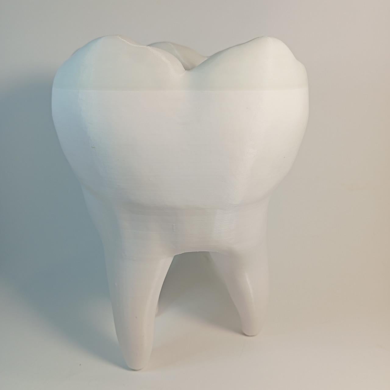 Декоративная модель зуба Tooth 3D-печать 15 см