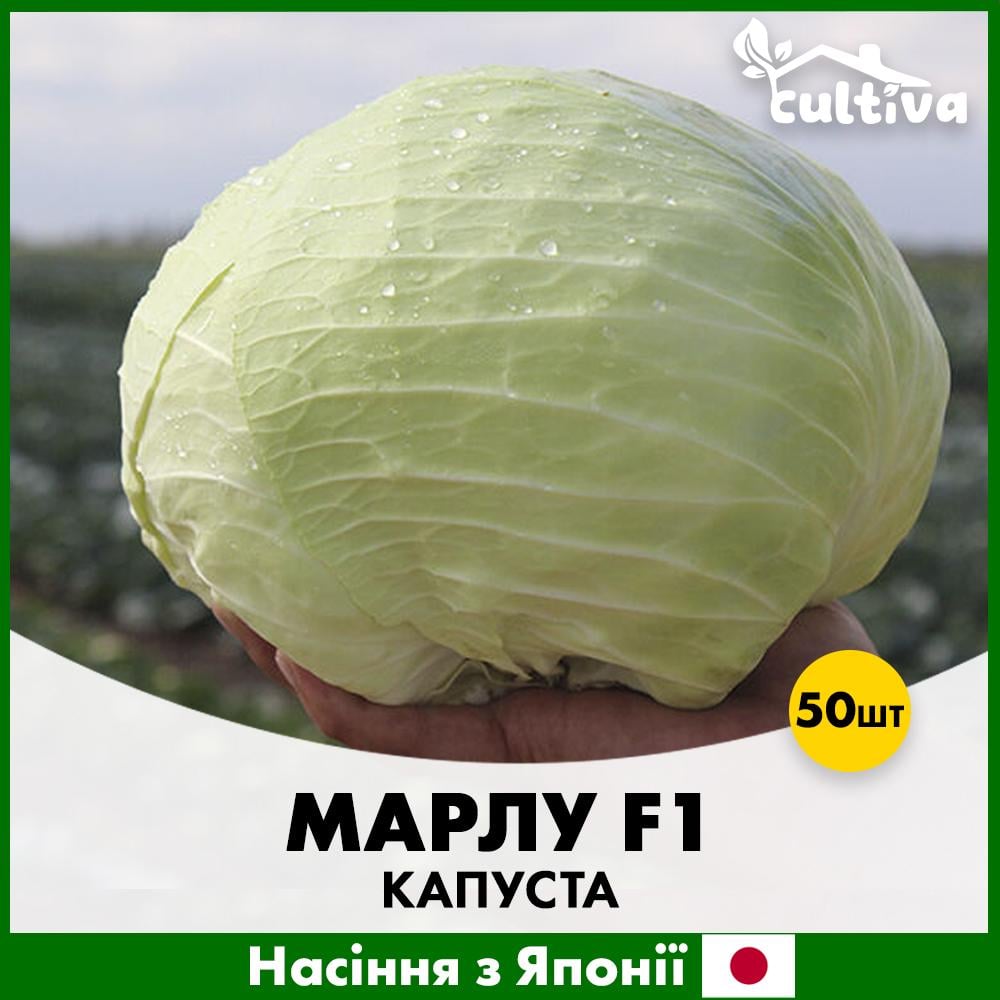 Семена капусты Sakata Белоголова Марла F1 50 шт. (R51066_50)