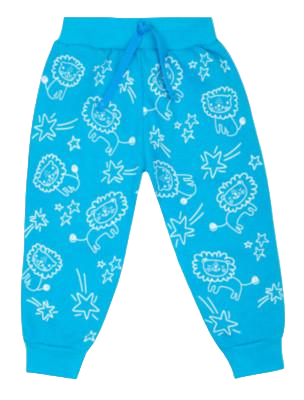 Штани дитячі бавовняні для хлопчика Gabbi BR-20-21-4 Зооленд 74 см Бірюзовий (12376)