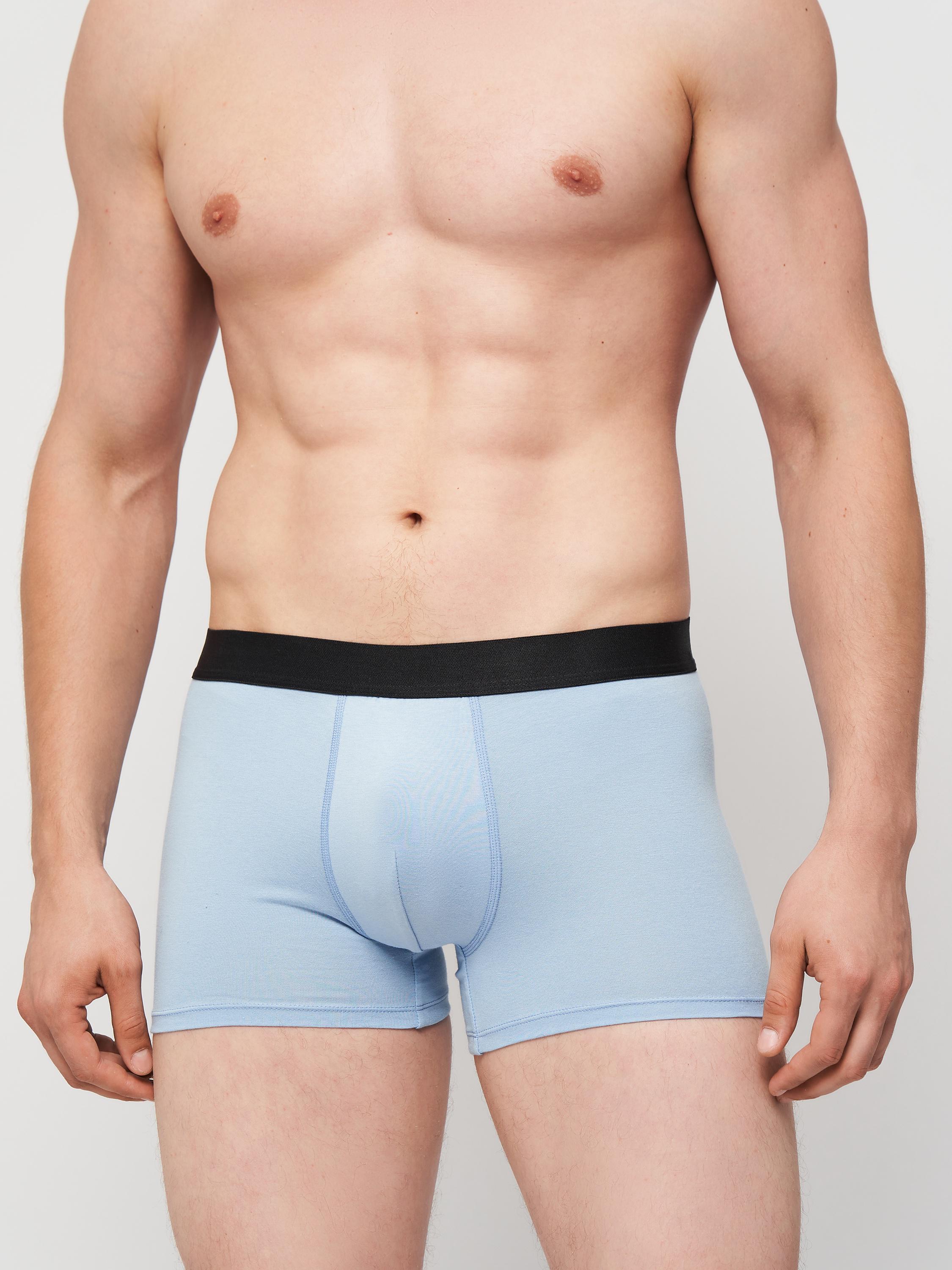 Трусы-боксеры мужские больших размеров ROZA 250109 4XL Серо-голубой (4824005735141)