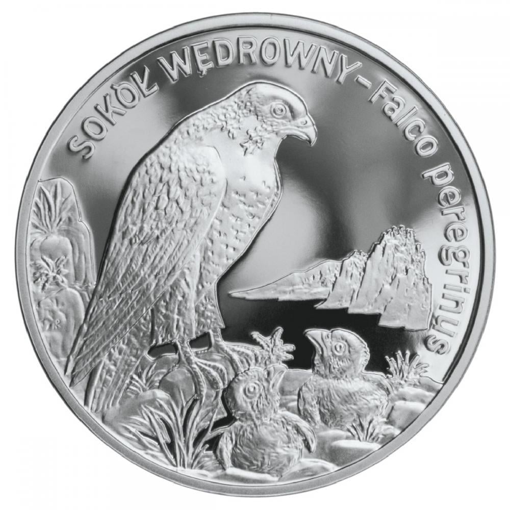Коллекционная монета Польша 20 злотых 2008 «Сокол» Серебро Proof Y 637